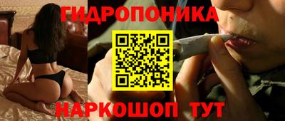 дмт Можайск