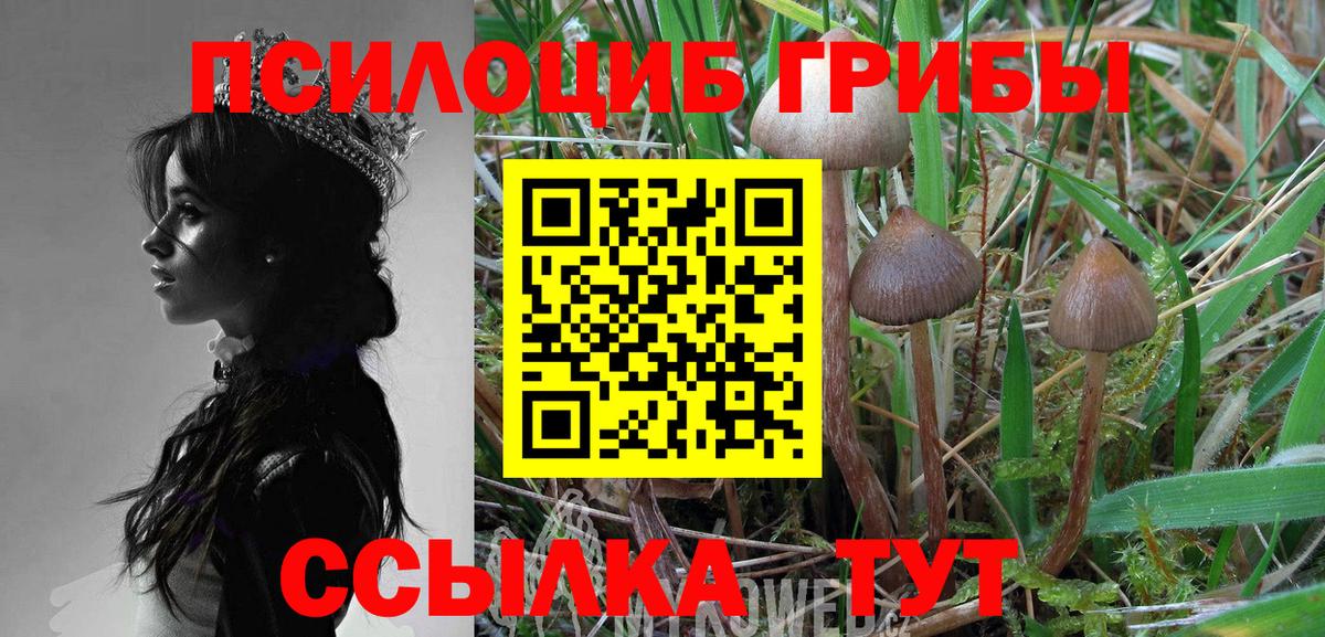 Галлюциногенные грибы Psilocybine cubensis  Вход с VPN  Рыбинск  Псилоцибиновые грибы ЛСД 